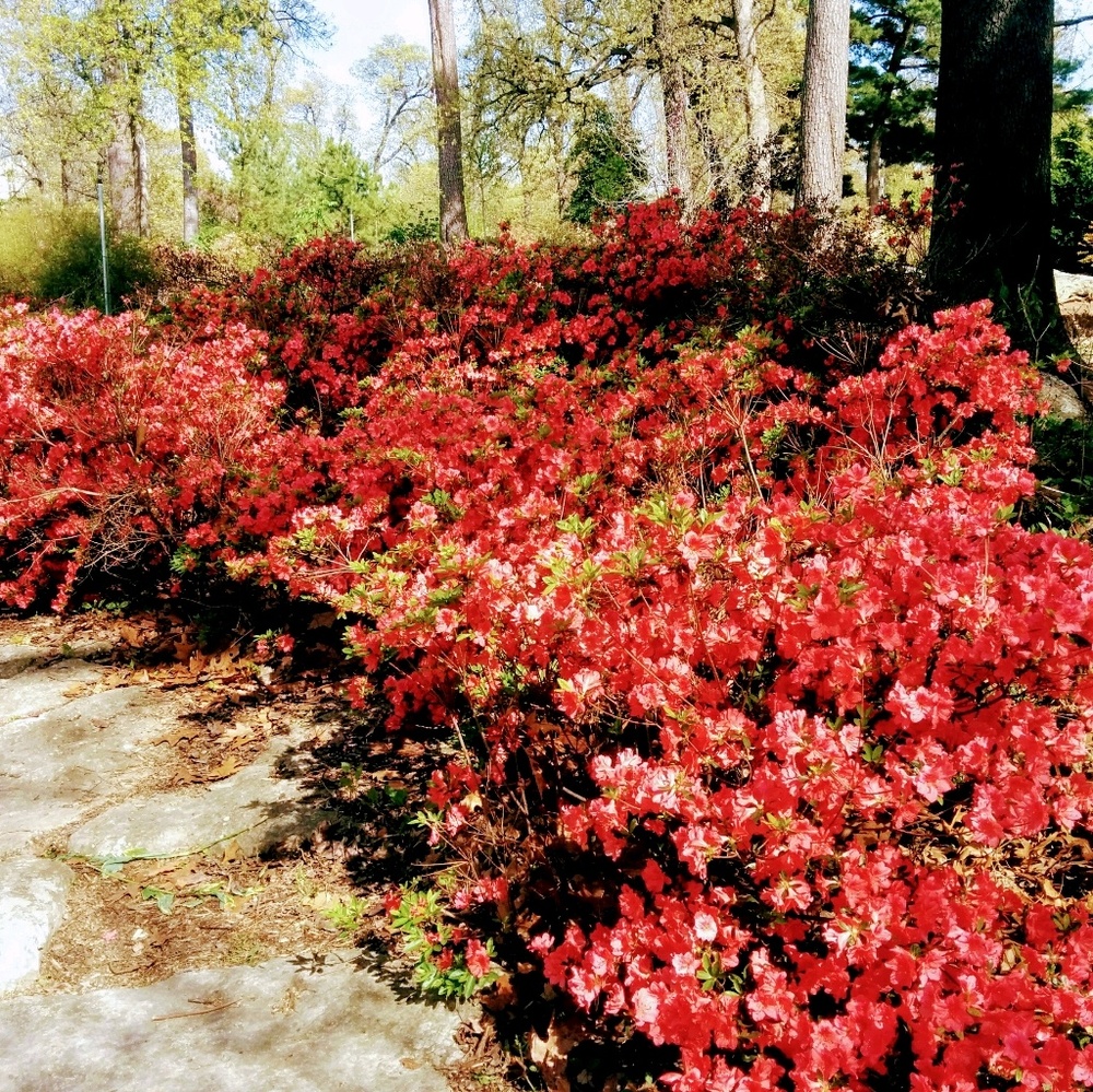 Meet your Posher, Janelle